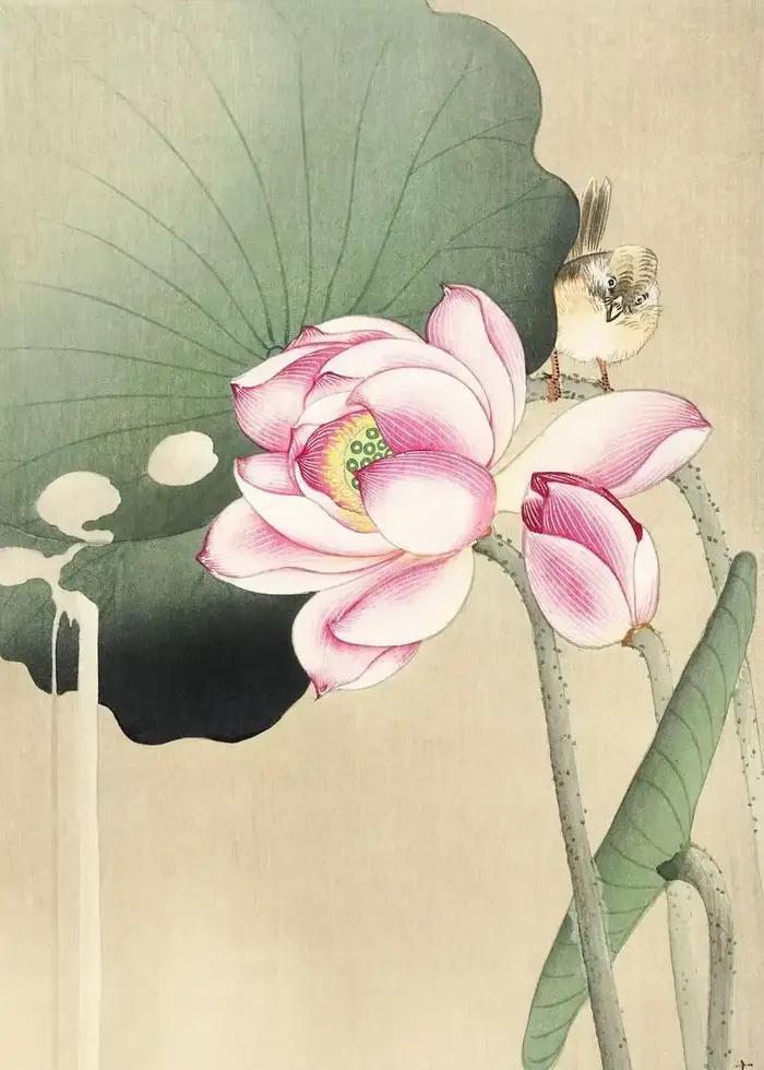 Affiche de peinture d'art fin asiatique Vintage, fleurs botaniques japonaises, peinture d'arbres, aq