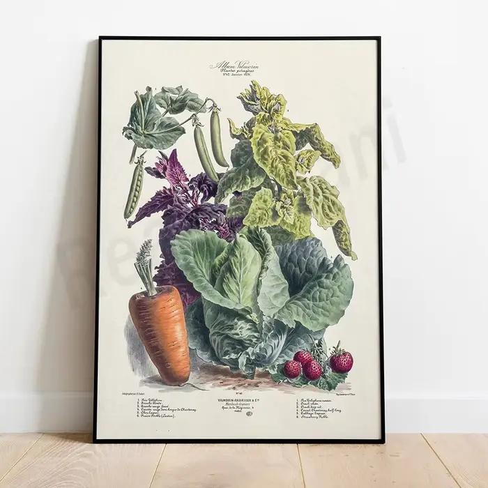 Types de champignons, champignons agaric volants, illustration vintage de légumes, types de fruits, 