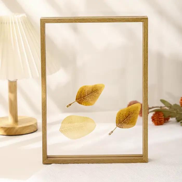 Cadre en verre transparent double face pour l'affichage de photos, d'échantillons de feuilles, décor
