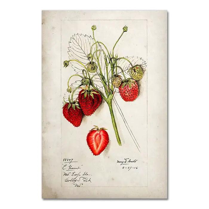 Affiche de cuisine de fruits vintage, toile antique, impression, formage, pomme, orange, ananas, art