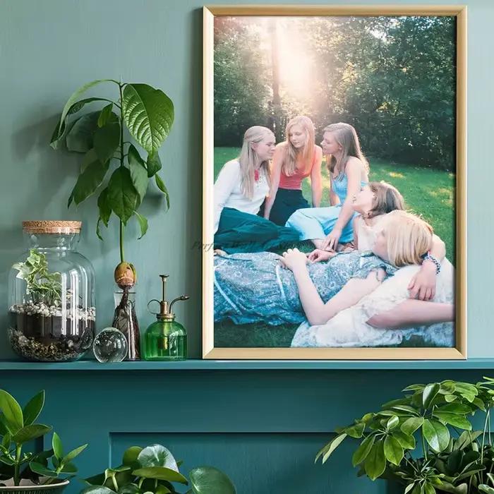 Affiche de Film classique Sofia Coppola The Virgin Suicides