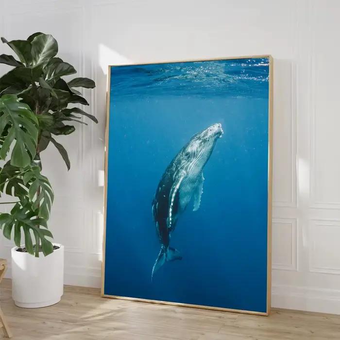 Affiches d'art de créatures marines