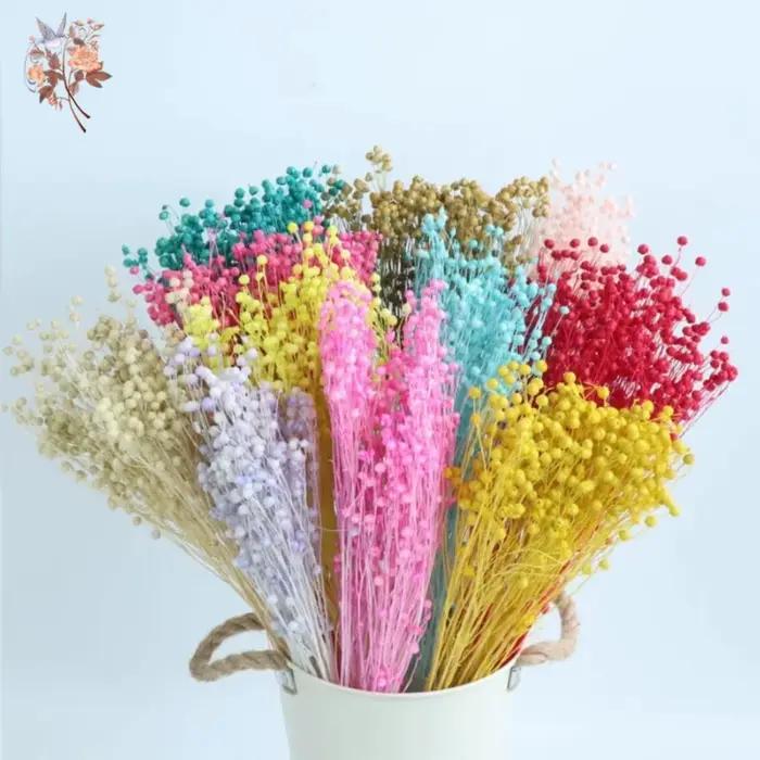 Fleurs séchées naturelles, Bouquets d'herbe en lin, vraies plantes conservées pour la décoration de la maison, matériel de bricolage, décoration de mariage, résine époxy