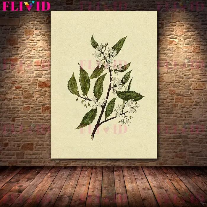 Arbre de branche d'olivier et branche de fleur blanche