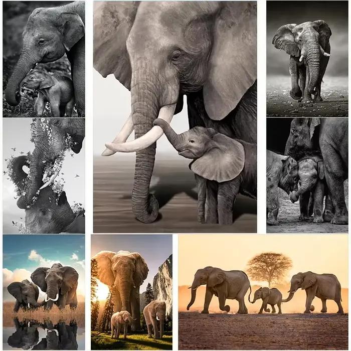 Affiches de famille d'éléphant quelque part