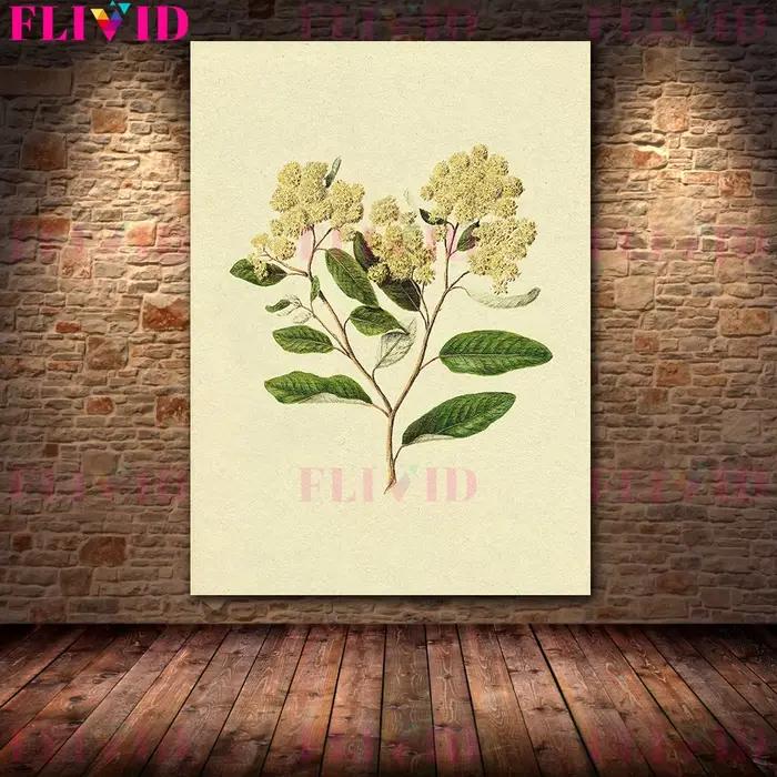 Arbre de branche d'olivier et branche de fleur blanche