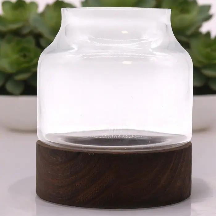 Medium Shaped Terarium on Dark Tung Wood - 16x18cm