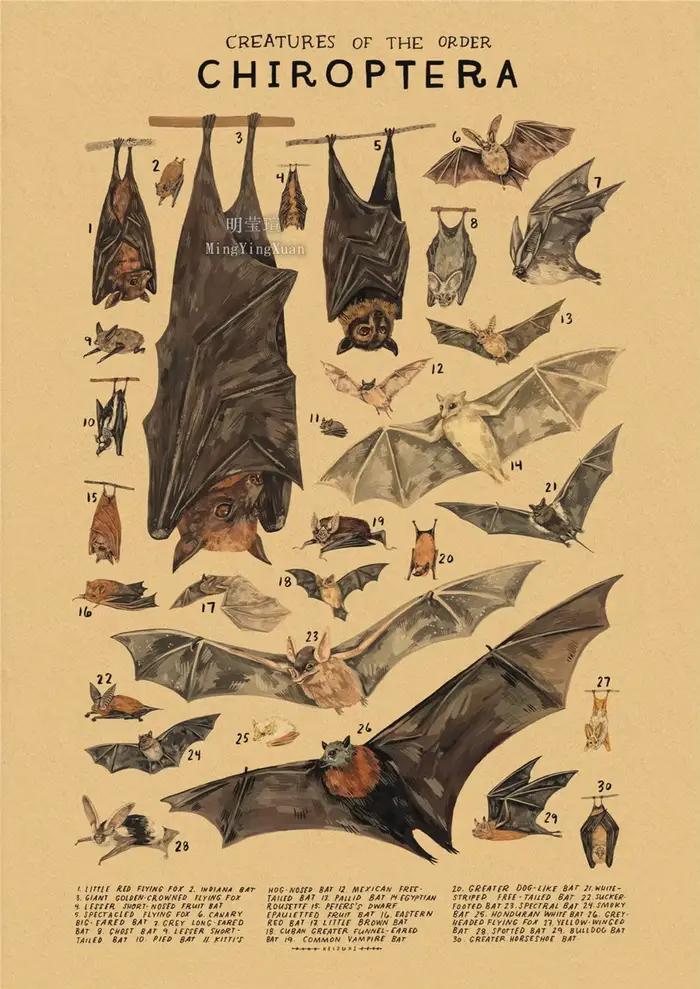 Affiches en papier kraft sur le thème des organismes marins, impression de méduses, de baleines, de