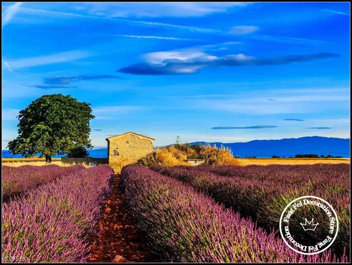 Peinture diamant sans cadre, paysage de la Provence, France, paysage rural de lavande, art mural, br