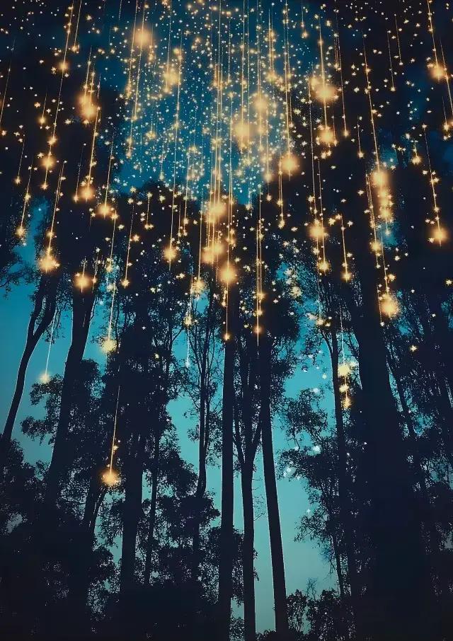 Affiches et imprimés botaniques de forêt magique de lune, toile imprimée, tableau d'art mural Vintag