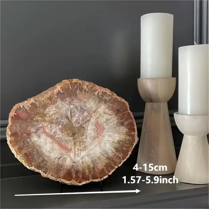 Tranche de bois pétrifié naturel avec motifs d'anneaux d'arbre pour la décoration intérieure, l'éner