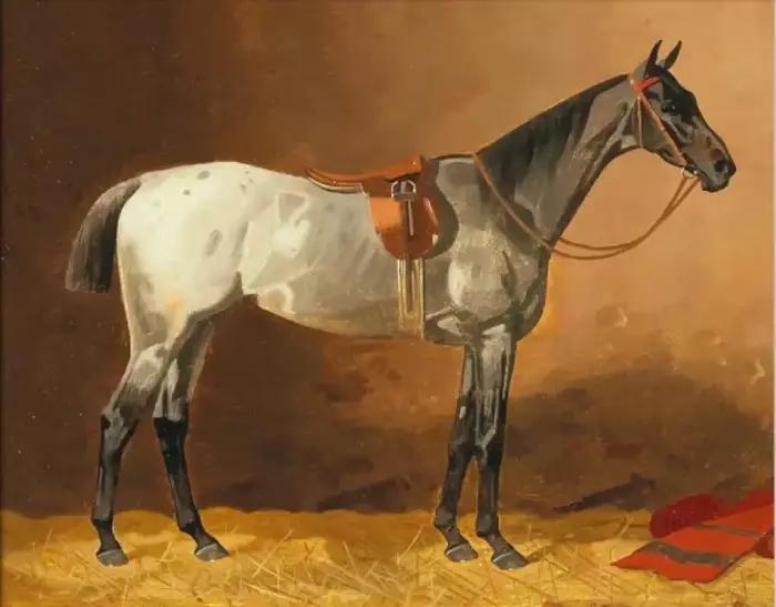 Affiche d'illustration d'art de cheval Vintage, peinture sur toile équestre, imprimés d'art mural, i