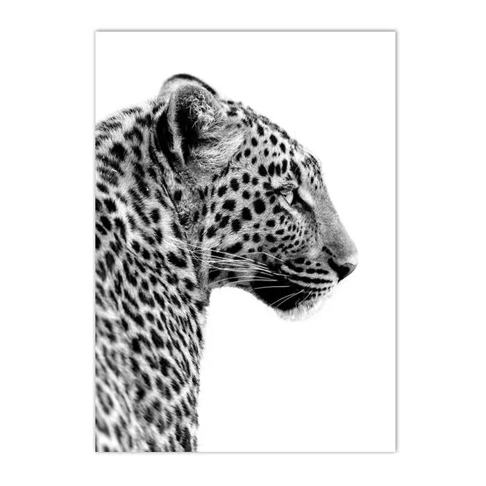 Peinture sur toile 2D, impressions d'art murales léopard et panthère noir et blanc, affiche animaux