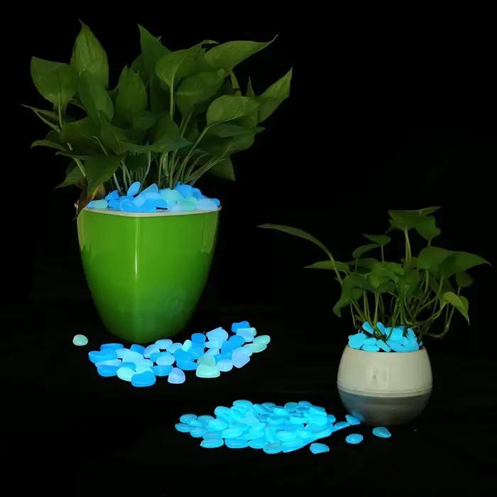 500 pièces brillent dans la nuit jardin galets pierres roches pour cour et passerelles décor fée jar
