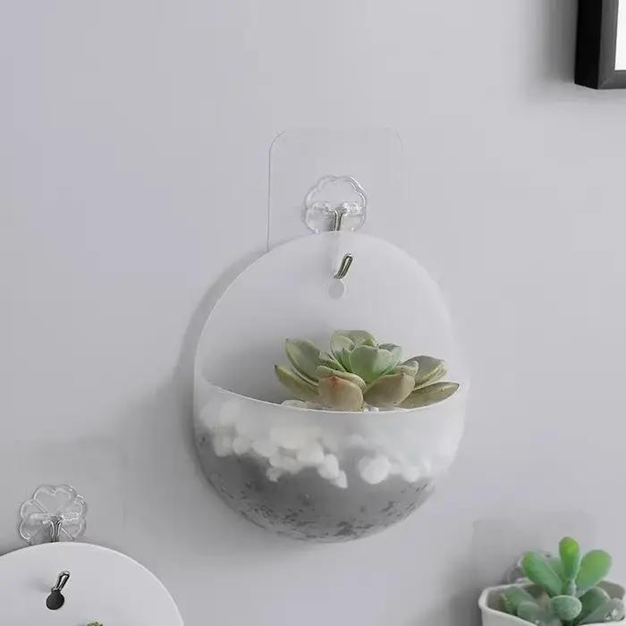 Plante de fleurs jardin intérieur maison