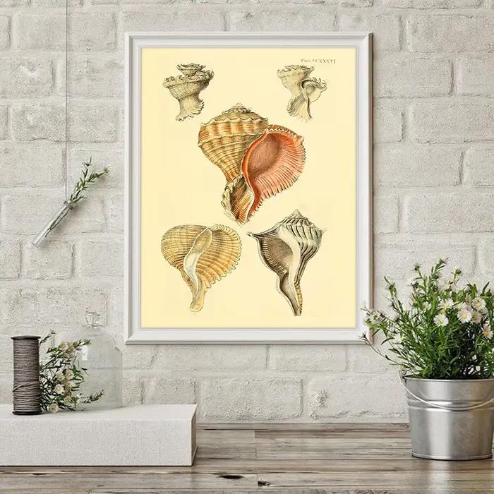 Affiches et tableau Vintage de plage de bord de mer