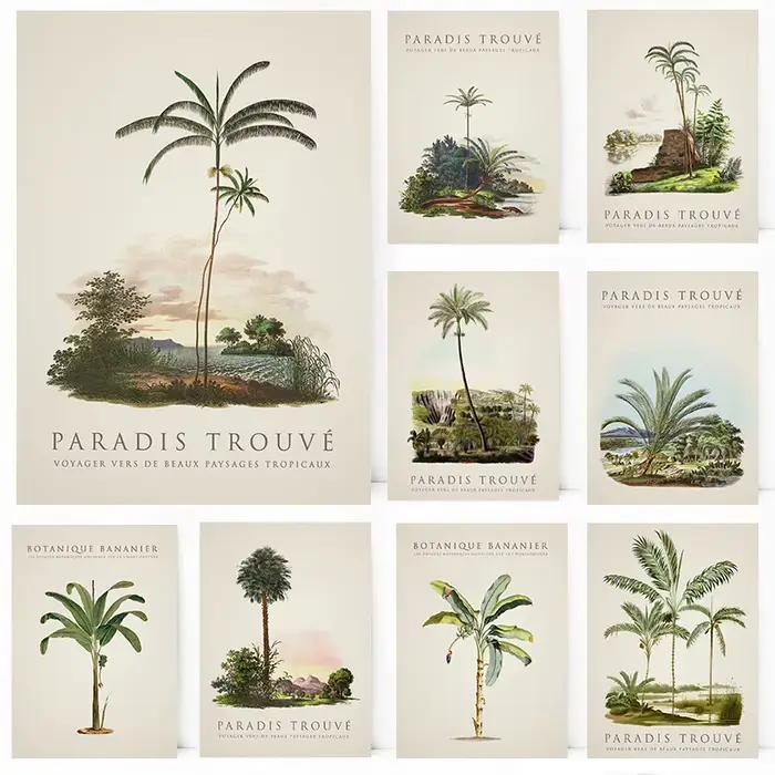 Affiches de palmiers tropicaux et d'arbre de bananier