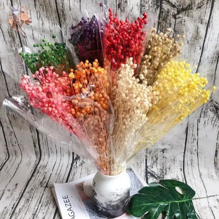 Fleurs séchées naturelles, Bouquets d'herbe en lin, vraies plantes conservées pour la décoration de la maison, matériel de bricolage, décoration de mariage, résine époxy