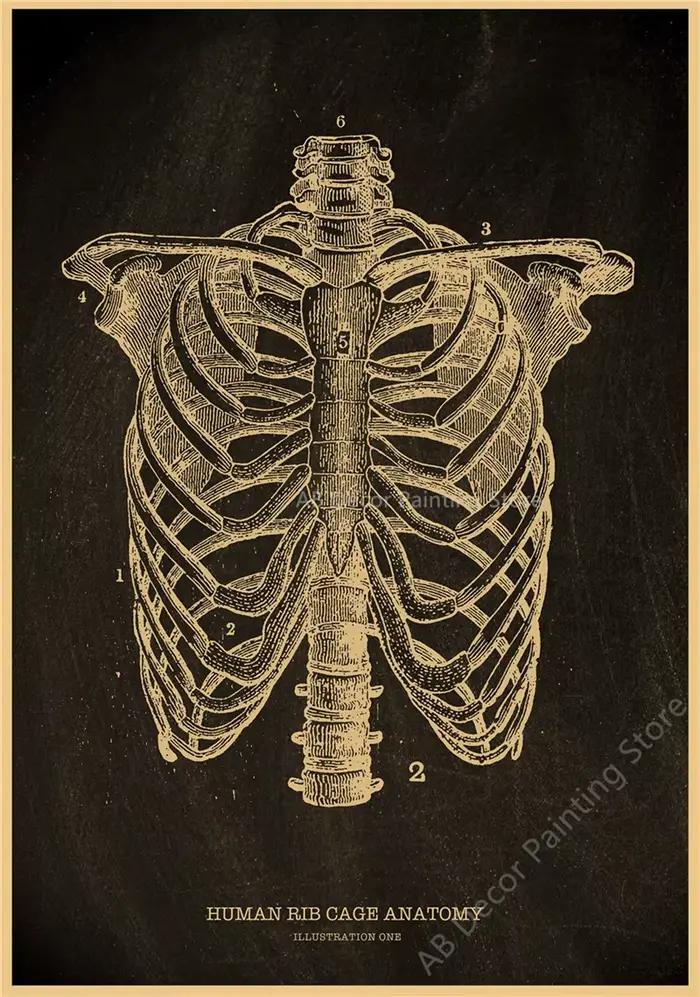 Affiches nostalgiques, tableau d'anatomie, imprimés, parties du corps, cœur, main, pied, dessin, Vintage, décoration murale pour salle de maison, peinture
