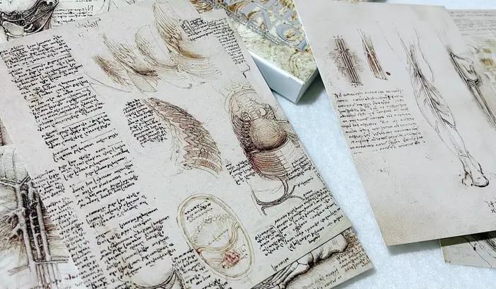 30 feuilles/Lot Leonardo Da Vinci croquis peinture carte postale Vintage Art