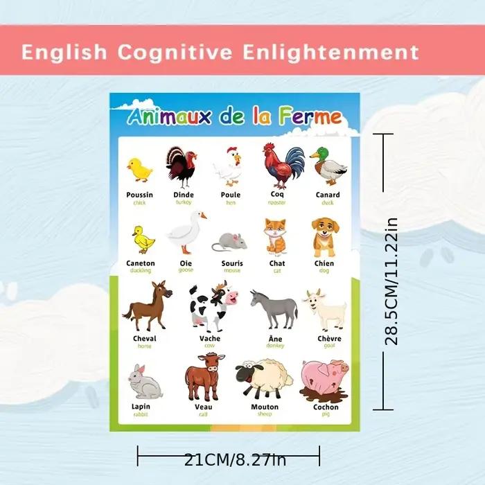 8 affiches de vocabulaire français et anglais