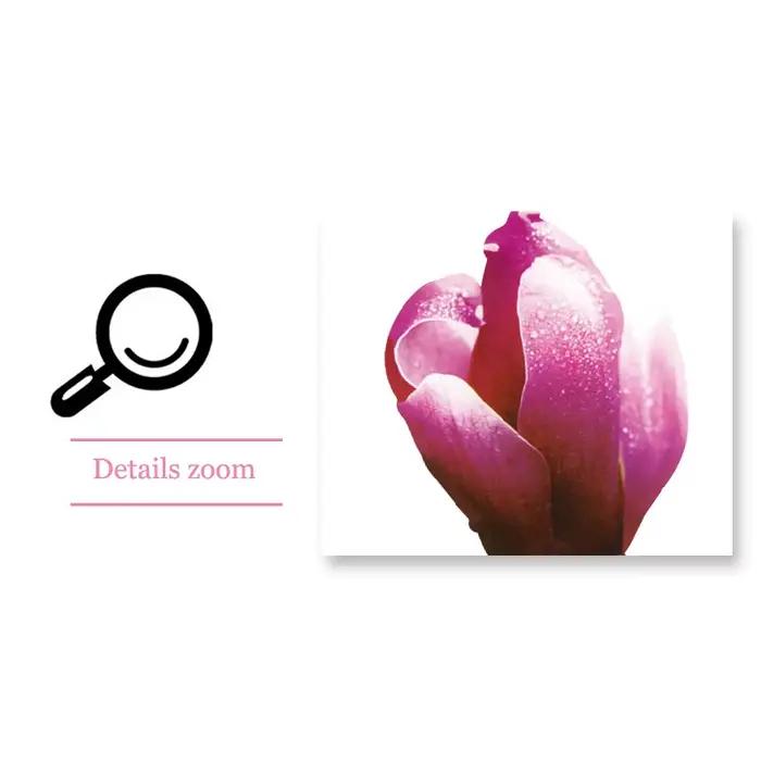Autocollant mural romantique fleur de Magnolia