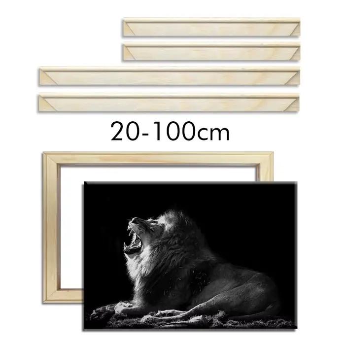 30x40 40x50 50x70 60x90 cadre sur toile cadres en bois Photo peinture à l'huile