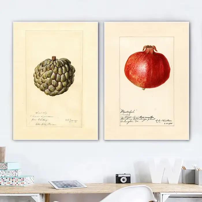 Affiche de fruits Vintage