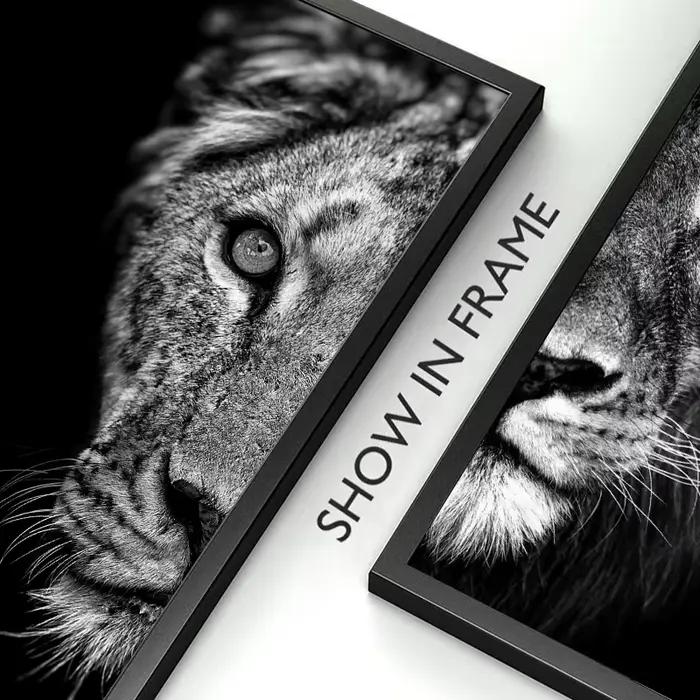 Affiches décoratives modernes du Lion et de la lionne masculine