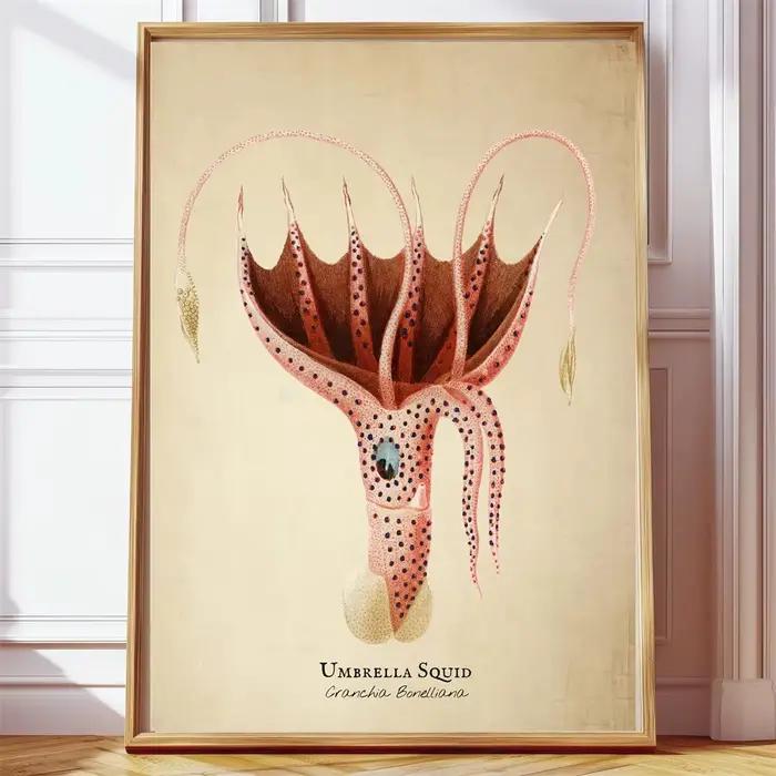 Images Vintage poissons tropicaux méduses coquilles vie Marine Art abstrait peintures sur toile