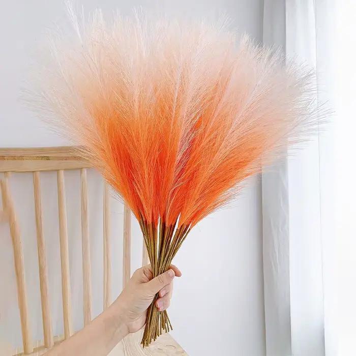 Décor d'herbe de Pampa de couleur dégradée