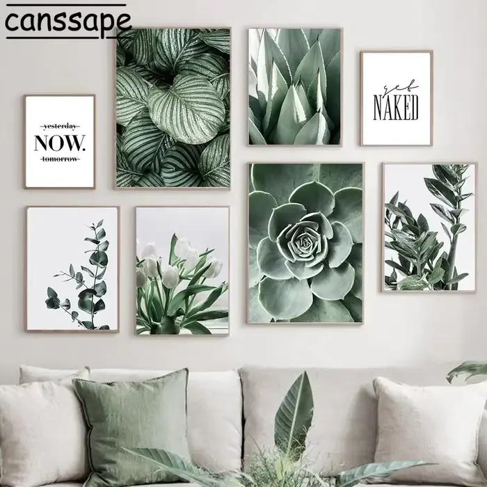 Affiches de plantes succulentes