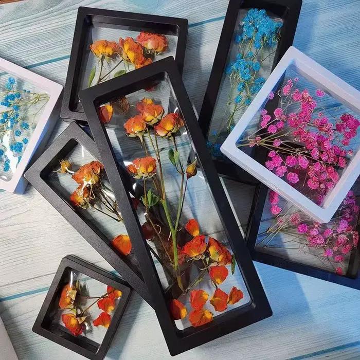Porte-spécimen de fleurs séchées