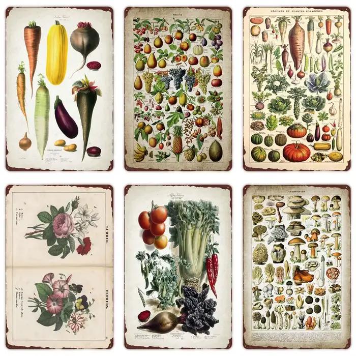 Plante végétale rétro affiche Fruits Vintage en métal