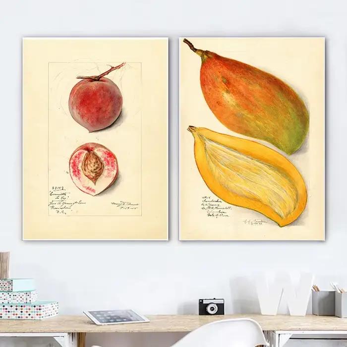 Affiche de fruits Vintage