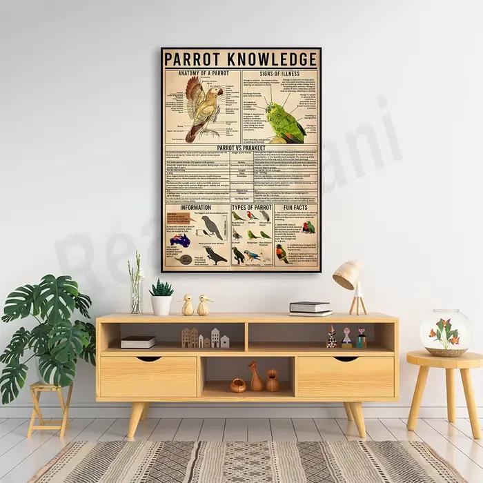 Affiche du connaissance du perroquet