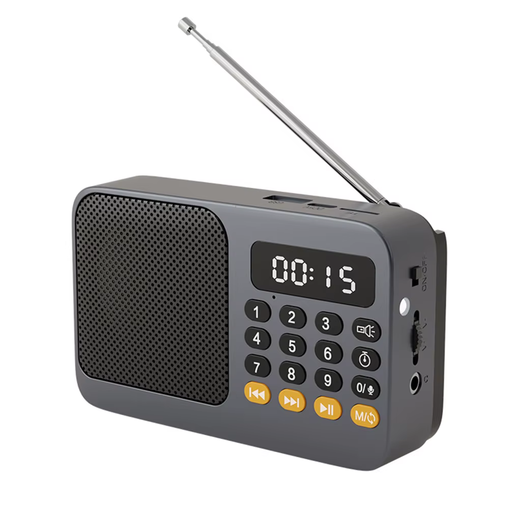 Lecteur MP3 numérique FM USB TF, Rechargeable, Portable, Radio, lecteur de musique, haut-parleur, fo