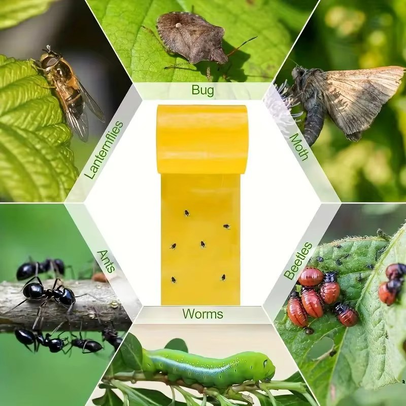 Ruban Adhésif Double Face Ultra-Adhésif Anti-Insectes Jaune – Piège Autocollant pour Arbres – Contrôle des Nuisibles de Jardin – Prévient les Mites et les Insectes Grimpants sur les Arbres