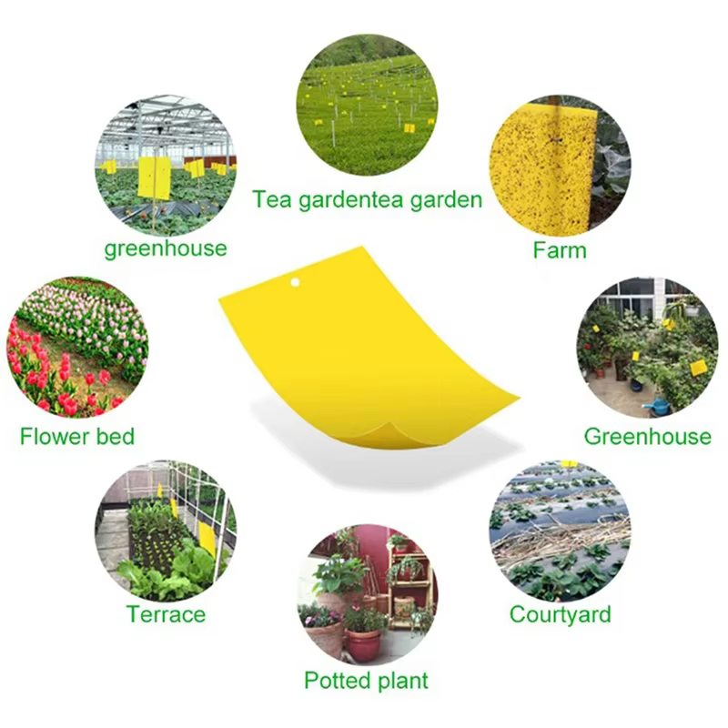 Pièges antiparasitaires collants Double face solides, attrape-insectes pour plantes de jardin, planche collante, piège antiparasitaire pour mouches blanches