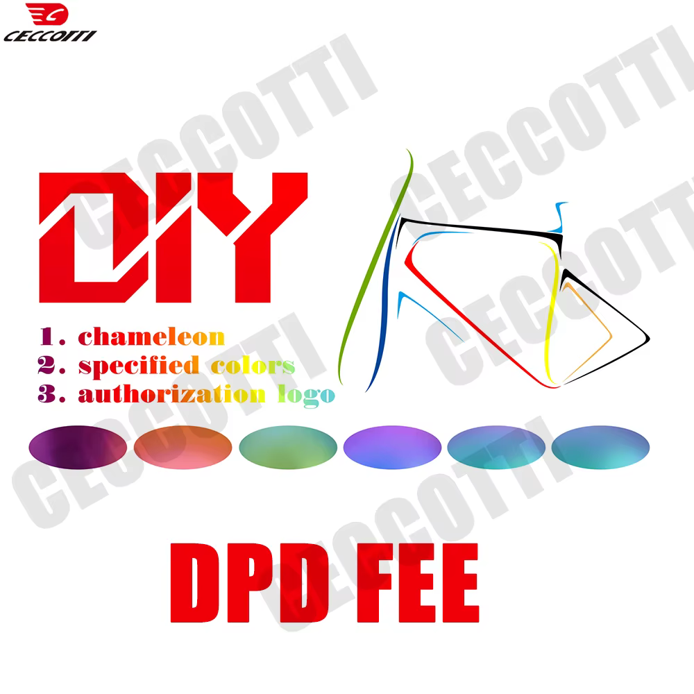 Cadre de vélo en carbone CECCOTTI, personnalisation de la couleur en usine et lien pour payer la différence de prix pour l'expédition DPD