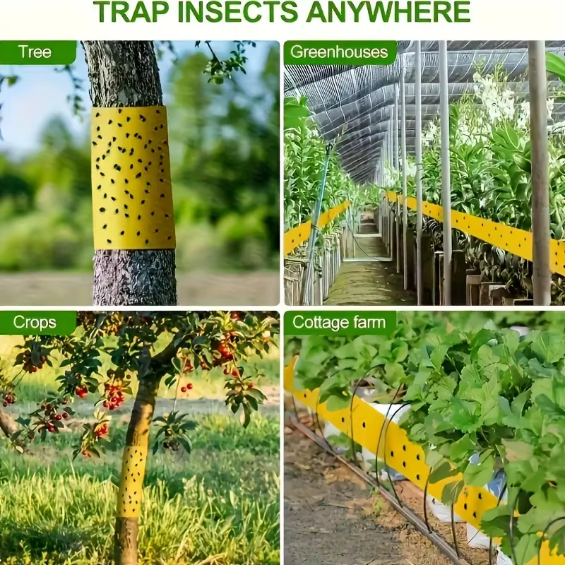 1 rouleau de ruban adhésif Double face pour barrière contre les insectes, efficace contre le lutte antiparasitaire en plein air, auto-adhésif adapté aux arbres et aux jardins