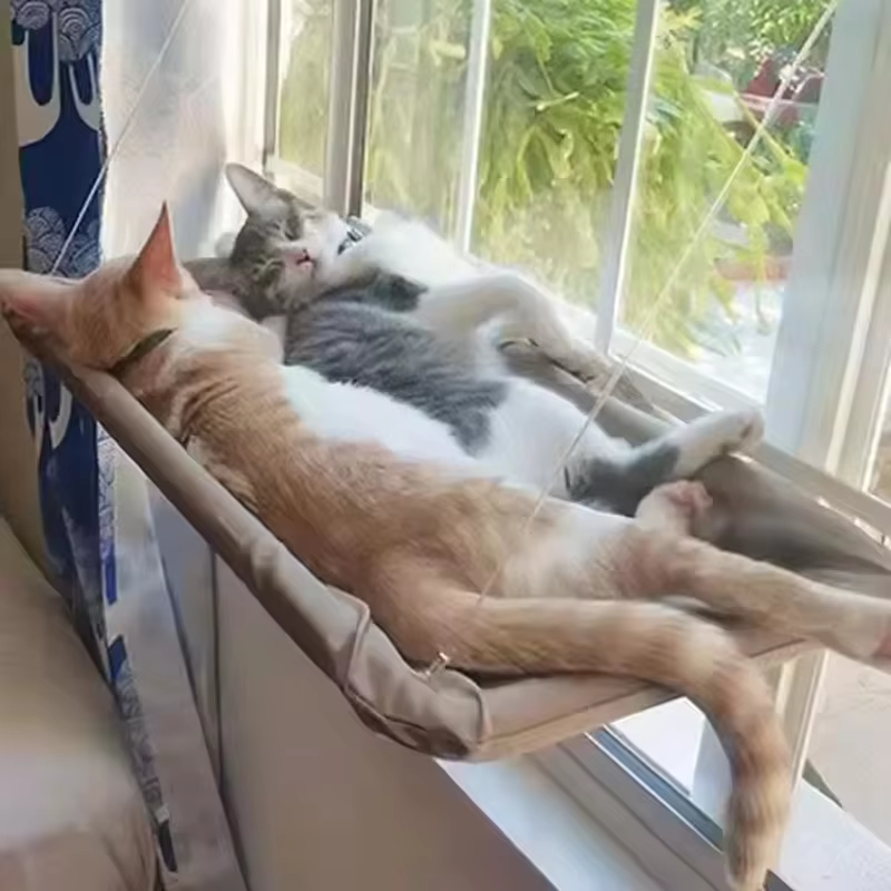 Hamac suspendu avec fenêtre pour chat, lit à ventouse, gain de place, toutes saisons, installation facile, cadre d'escalade pour chat, hiver