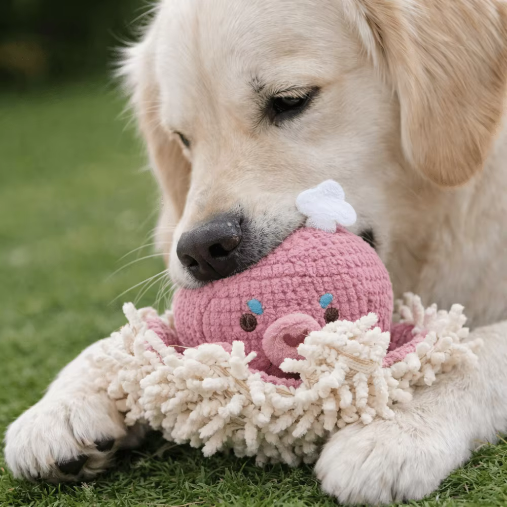 Jouet interactif pour chien en forme d'animal mignon, résistant aux morsures, souple et couineur, pour animaux de compagnie