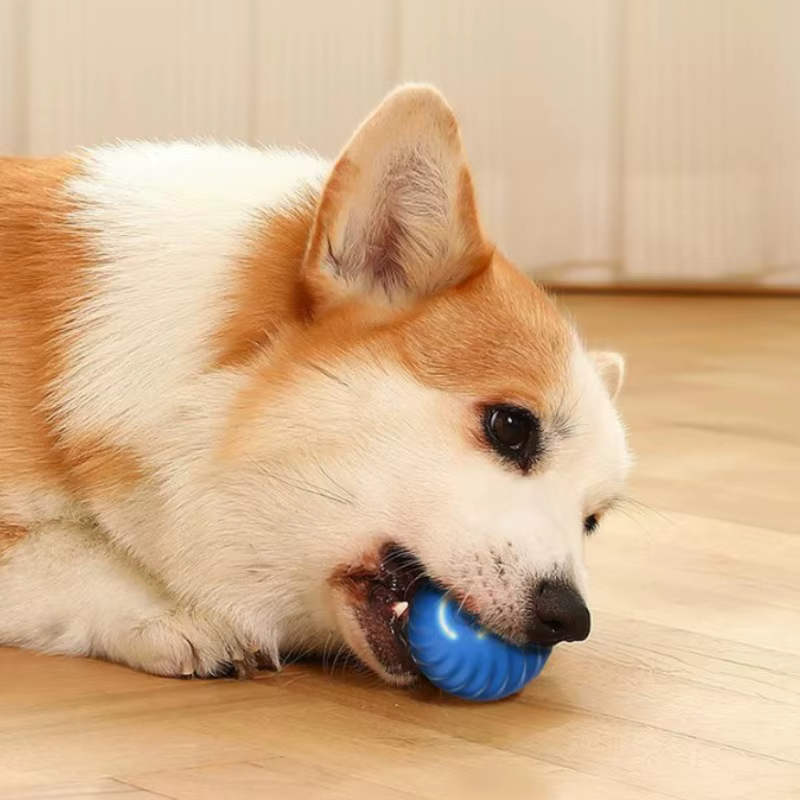 Balle de jouet pour animaux de compagnie, jouet en mouvement automatique pour chien, intelligent, USB, rotatif, interactif, à mâcher, pour chiot