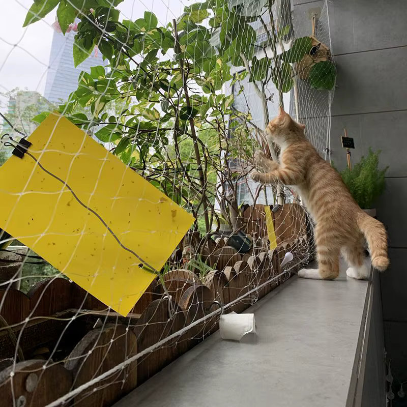 Maille Anti-chute pour animaux de compagnie, clôture de sécurité pour chat, filet de protection pour écran de balcon en Nylon