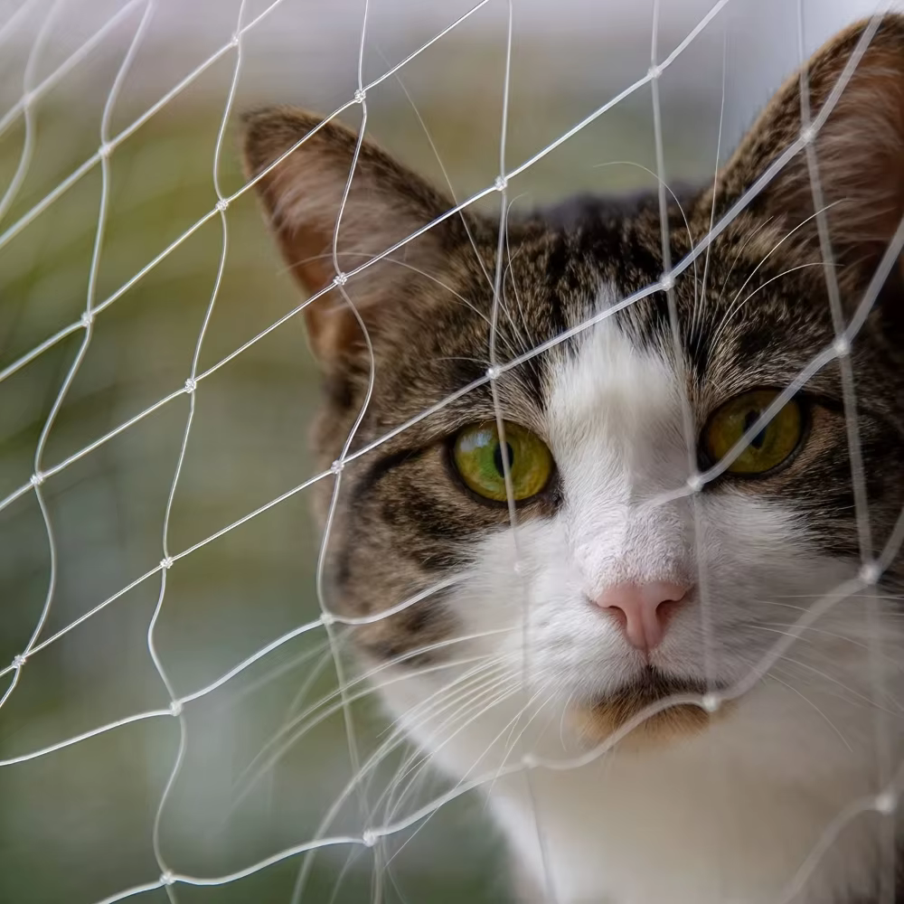 1 ensemble de filet de sécurité transparent pour chat avec accessoires, à mailles fines, pour balcon et escaliers - Empêche les chutes et les évasements des animaux domestiques (5 tailles)