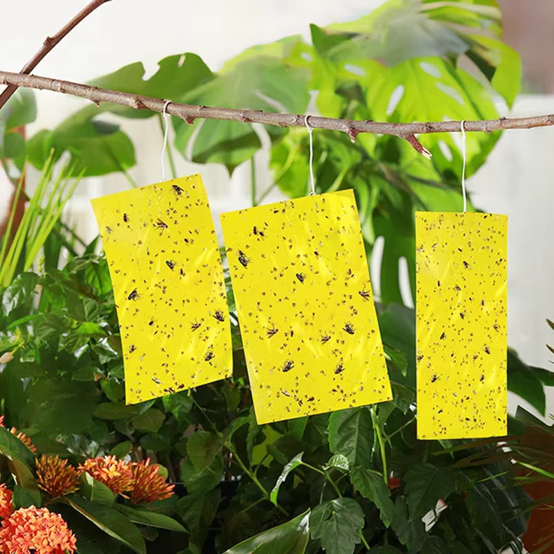 Pièges antiparasitaires collants Double face solides, attrape-insectes pour plantes de jardin, planche collante, piège antiparasitaire pour mouches blanches