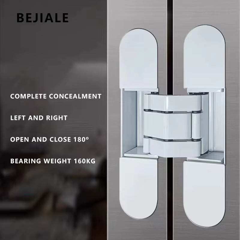 Charnière de porte secrète Invisible, charnière de porte discrète 3D réglable pour porte en bois, ouverture extérieure