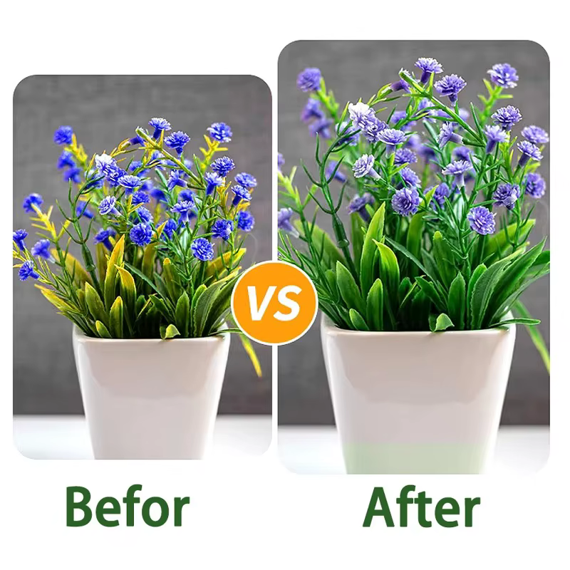 Barres nutritionnelles pour plantes, azote, phosphore, potassium, pour une croissance saine des plantes, fruits, légumes, fleurs, engrais composé