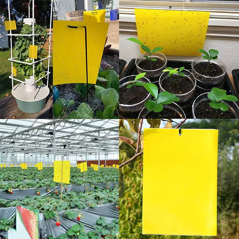 Pièges antiparasitaires collants Double face solides, attrape-insectes pour plantes de jardin, planche collante, piège antiparasitaire pour mouches blanches